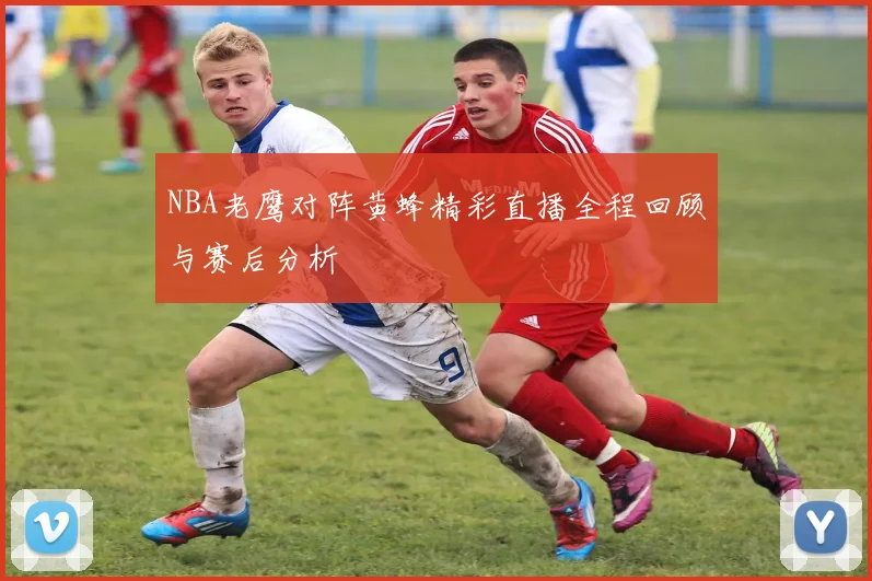 NBA老鹰对阵黄蜂精彩直播全程回顾与赛后分析