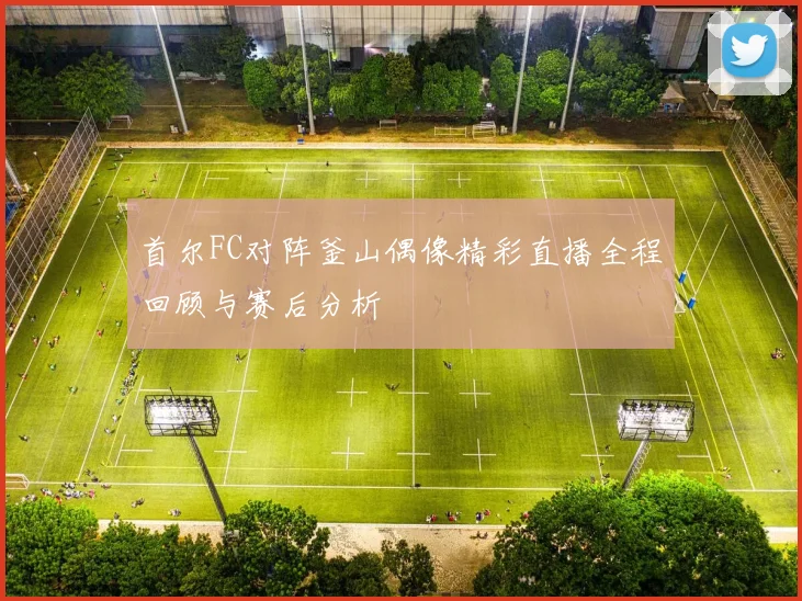 首尔FC对阵釜山偶像精彩直播全程回顾与赛后分析