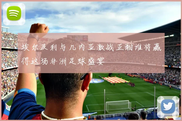 埃尔及利与几内亚激战正酣谁将赢得这场非洲足球盛宴
